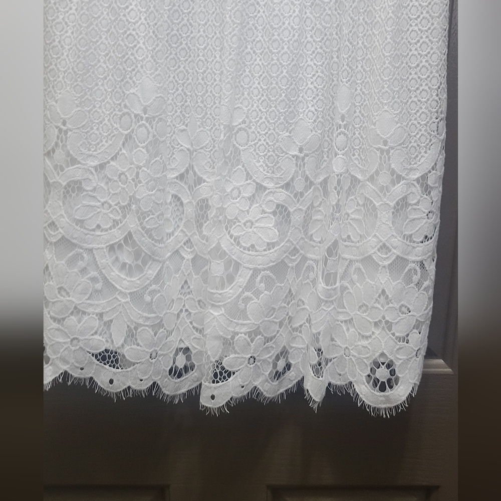 LOFT Lace Flare Dress NWT size 6 - Picture 4 of 6